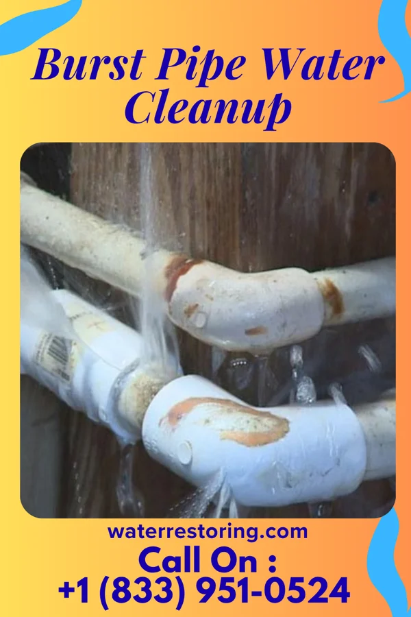 Burst Pipe Water Cleanup in Wilmore, KY