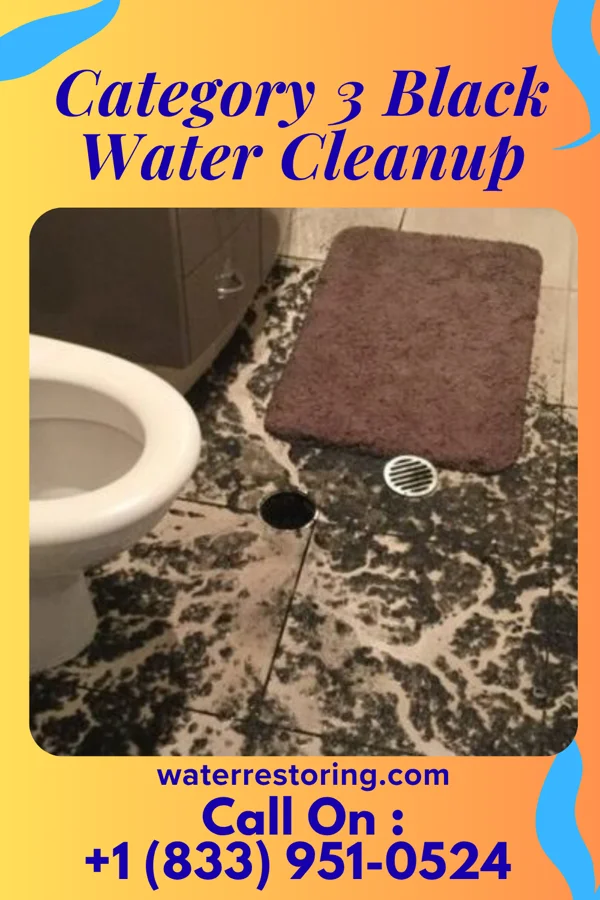Category 3 Black Water Cleanup in Wilmore, KY