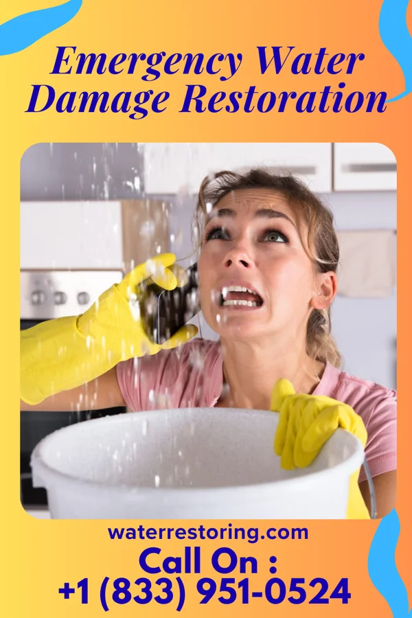 Emergency Water Damage Restoration in Wilmore, KY