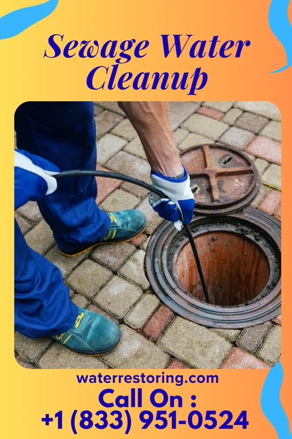 Sewage Water Cleanup in Wilmore, KY